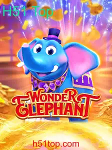 WonderElephant: Explorando o Mundo Inovador do Jogo H51 Top